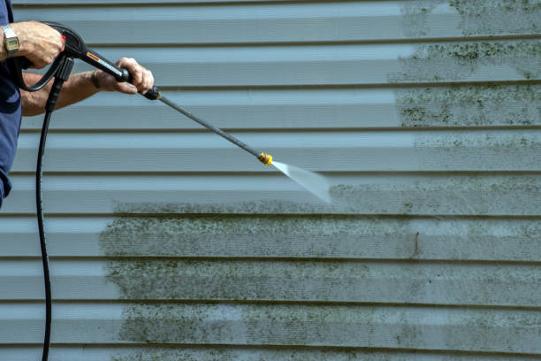 Best Exterior Home Cleaning  in Burnsville, MN